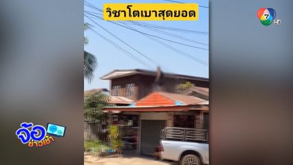 ยอดมนุษย์ ป่วนปีนหลังคา