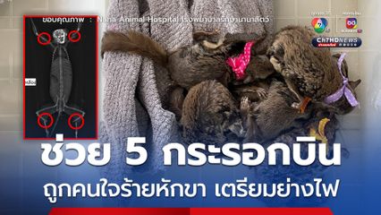 ผ่าตัดลุล่วงช่วยกระรอกบิน 5 ตัว ถูกคนใจร้ายหักขาทั้ง 4 ข้าง เตรียมย่างไฟ