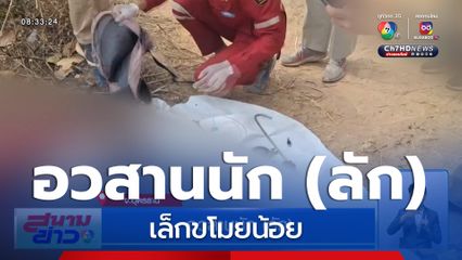 อวสานนัก (ลัก) เล็กขโมยน้อย ไฟดูดร่วงดับ