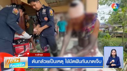 ต้นกล้วยเป็นเหตุ ใช้มีดฟันกันบาดเจ็บ