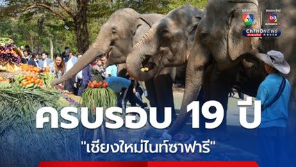 เชียงใหม่ไนท์ซาฟารี ทำบุญใหญ่วันครบรอบ 19 ปี จัดบุฟเฟ่ต์คืนความสุขให้กับสัตว์นับพันตัว