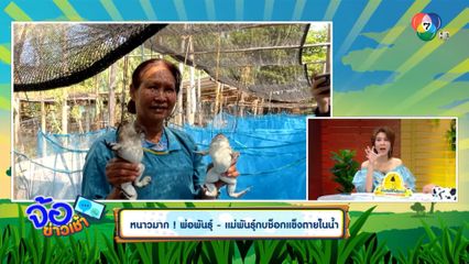 หนาวมาก! พ่อพันธุ์-แม่พันธุ์กบช็อกแข็งตายในน้ำ