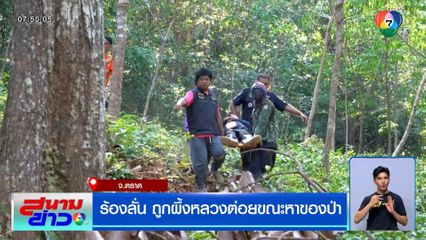 ร้องลั่น ถูกผึ้งหลวงต่อยขณะหาของป่า