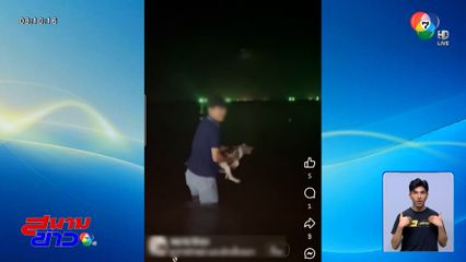 อย่าหาทำ ! จับลูกสุนัขโยนทะเล อ้างวิธีอาบน้ำสุนัขจรจัด