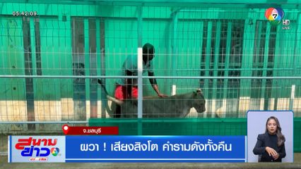 ผวา! เสียงสิงโต คำรามดังทั้งคืน