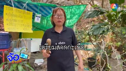 พลังสากกะเบือ สยบหัวขโมย