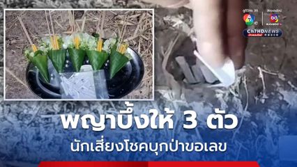 นักเสี่ยงโชคบุกป่าจุดธูปขอเลขกับพญาบึ้ง หลังเคยให้โชคมาแล้ว รอ 1 ชม. ได้ 3 ตัว