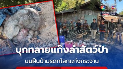 บุกทลายแก๊งลักลอบล่าสัตว์ป่า รอบนี้ล่ากวางป่า ก่อนหน้านี้ยิงกระทิง ใน อช.แก่งกระจาน