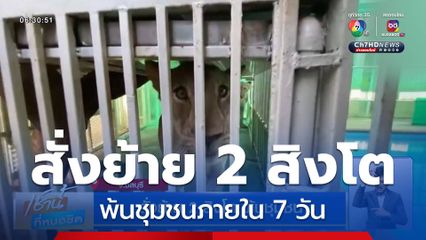สั่งย้าย 2 สิงโต พ้นชุมชน