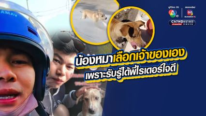 เอ็นดูน้องหมาเลือกเจ้าของเอง วิ่งตามไรเดอร์แบบไม่ลดความพยายาม ขอตามกลับบ้านด้วย สุดท้ายรับเลี้ยงและดูแลอย่างดี