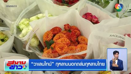 วาเลนไทน์ กุหลาบนอกถล่มกุหลาบไทย