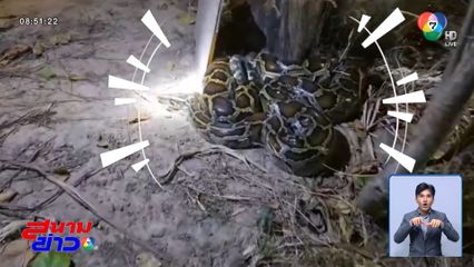 7 วัน 7 อย่าง : เล่นซะหอบ