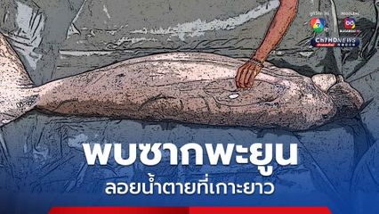 พบซากพะยูนตัวใหญ่ลอยน้ำตายที่เกาะยาว