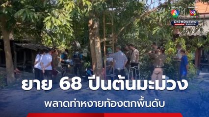 สลด! ยาย 68 ปีนต้นมะม่วงสูงเกือบ 8 เมตร หงายท้องตกดับ
