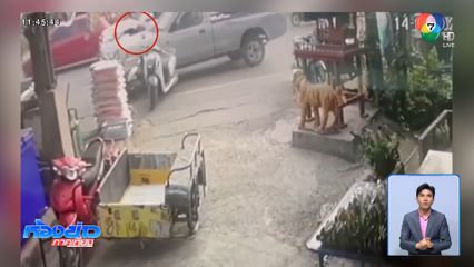 รถกระบะเบรกแตก หลุดโค้งเฉี่ยวคน รถเสียหาย 5 คัน