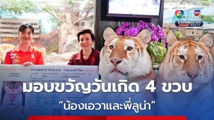 เชียงใหม่ไนท์ซาฟารีมอบพาสปอร์ตของขวัญวันเกิด 4 ขวบ น้องเอวาและพี่ลูน่า 