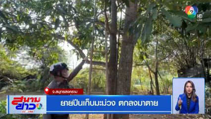 ยายปีนเก็บลูกมะม่วง ตกลงมาตาย