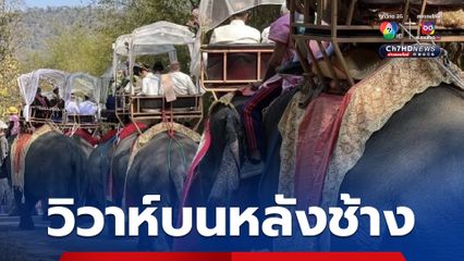 คู่รัก LGBTQ+ เข้าร่วม "วิวาห์บนหลังช้าง" คึกคัก