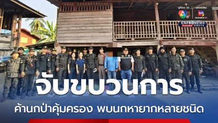 รมว.ทส. สั่งปราบจริงจัง จับขบวนการค้านกป่าคุ้มครองรายใหญ่ในอุตรดิตถ์ พบนกหายากหลายชนิด