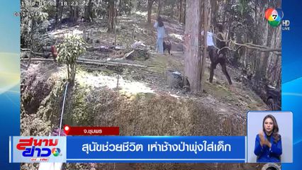 สุนัขช่วยชีวิต เห่าช้างป่าพุ่งใส่เด็ก