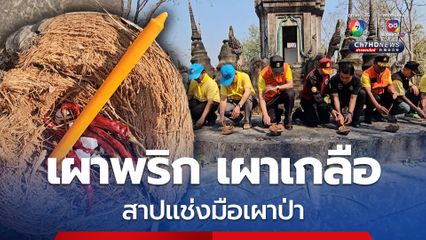 ผู้ว่าราชการจังหวัดแพร่นำทีมเผาพริก เผาเกลือสาปแช่งมือเผาป่า