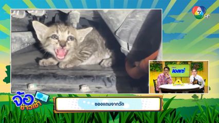 ของแถมจากวัด