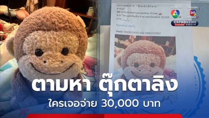 ประกาศตามหา ตุ๊กตาลิงสีน้ำตาล ใครเจอจ่าย 30,000 บาท