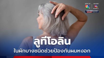 “หมอสุรัตน์” เผยงานวิจัยระบุ “ลูทีโอลิน” ในผักบางชนิด อาจป้องกันผมหงอกได้