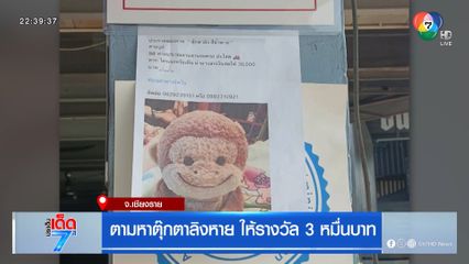 ตามหาตุ๊กตาลิงหาย ให้รางวัล 3 หมื่นบาท