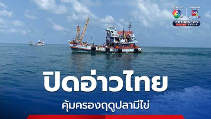 ปิดอ่าวไทย คุ้มครองฤดูปลามีไข่ ครอบคลุมพื้นที่ 3 จังหวัด 