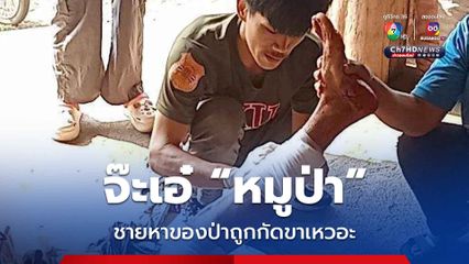 ชาวบ้านหาของป่าถูกหมูป่ากัดขาเหวอะ ตูบเพื่อนรักที่ไปด้วยช่วยชีวิตไว้