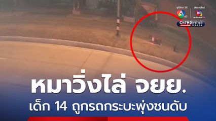 หมาวิ่งไล่ จยย. เด็ก 14 ถูกรถกระบะพุ่งชนดับ