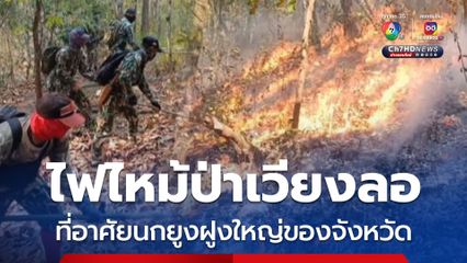 ไฟไหม้ป่าเขตอนุรักษ์พันธุ์สัตว์ป่าเวียงลอที่อาศัยนกยูงฝูงใหญ่