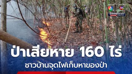 ชาวบ้าจุดไฟเพื่อเก็บหาของป่า เกิดไฟป่า 15 จุด พื้นที่ป่าเสียหายประมาณ 160 ไร่