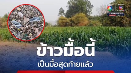 หนุ่มสั่งลาเมีย ขอกินข้าวเป็นมื้อสุดท้าย ก่อนพบเป็นศพผูกคอ