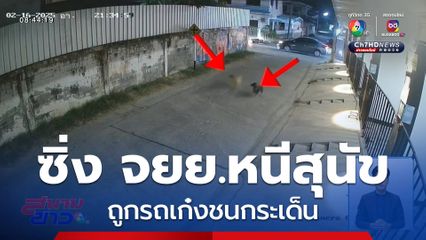 สุดซวย หนุ่มซิ่งรถ จยย.หนีสุนัขไล่ ไปชนกับรถเก๋ง