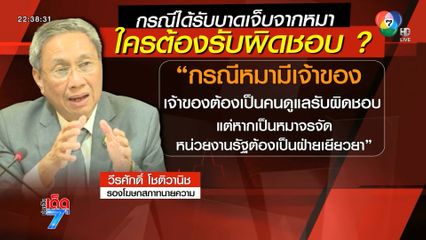 ขี่รถ จยย.หนีสุนัข พุ่งชนรถเก๋ง รู้แล้วใครผิด !