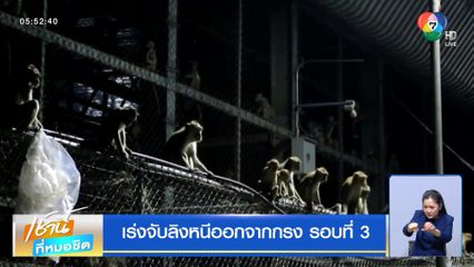 เร่งจับลิงหนีออกจากกรง รอบที่ 3
