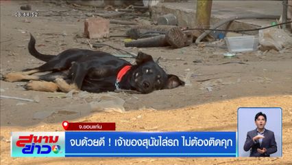 จบด้วยดี ! เจ้าของสุนัขไล่รถไม่ต้องติดคุก