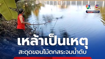 เหล้าเป็นเหตุ สะดุดขอนไม้ตกสระจมน้ำดับ