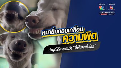 สุดเอ็นดู น้องหมายิ้มได้ แต่ยิ้มกลบเกลื่อนความผิด นุดแม่กำลังจะโกรธ ต้องปรับโหมดเป็นขำเกือบขิต