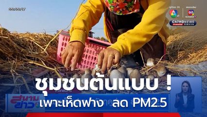ชุมชนต้นแบบ ! เพาะเห็ดฟาง หลังฤดูทำนา ลด PM2.5