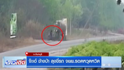 จ๊ะเอ๋ ช้างป่า ลุงขี่รถ จยย.รอดหวุดหวิด