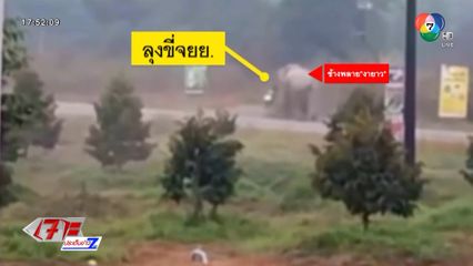 ช้างป่าแตกฝูงวิ่งหนีเตลิดในชุมชน จ.จันทบุรี
