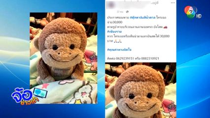 ตามหาตุ๊กตาลิงให้ 30,000 บาท