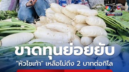 ทุกข์เกษตรกร “หัวไชเท้า” ราคาตก เหลือไม่ถึง 2 บาทต่อกิโลกรัม