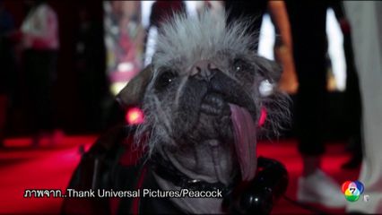 สุนัขน่าเกลียดที่สุดในอังกฤษ คว้ารางวัลออสการ์สุนัข