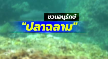 Kidsพิทักษ์โลก : ชวนอนุรักษ์ “ปลาฉลาม” Ep.15