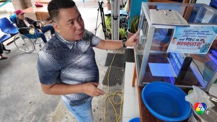 ฟิลิปปินส์ ตั้งค่าหัวยุงลาย สู้ไข้เลือดออกระบาดหนัก