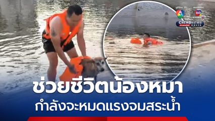 พลเมืองดีช่วยชีวิตน้องหมา หลังกำลังจะหมดแรงจมสระน้ำ